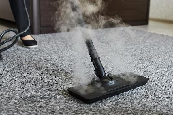 HIGIENIZE OS SEUS TAPETES/CARPETES COM VAPOR